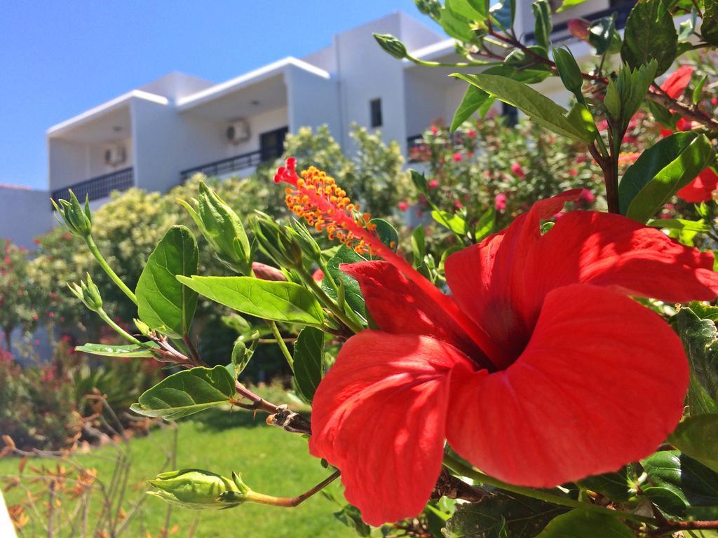 Debby Apartments Ialysos  Bagian luar foto
