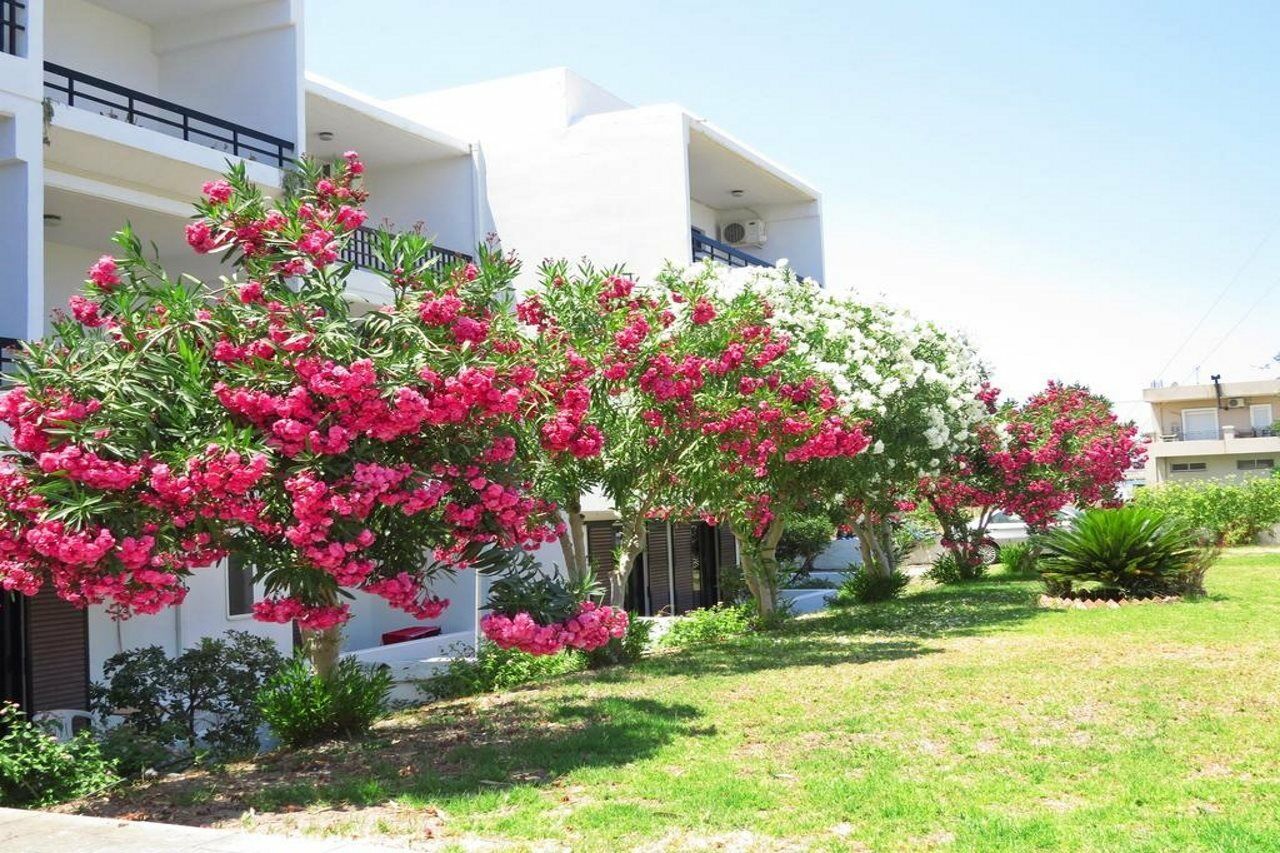 Debby Apartments Ialysos  Bagian luar foto